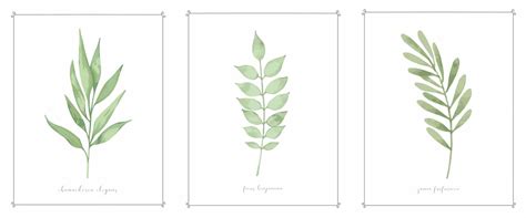 Enjoy unlimited free printable downloads! DIY FRAME FOR BOTANICAL FREE DOWNLOADABLE ART PRINTS