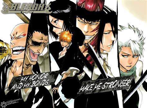 My Honor And My Bonds Make Me Stronger Bleach 469 Daily Anime Art