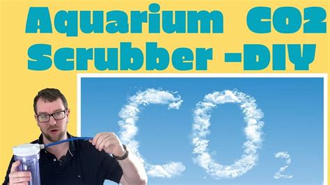 Around half of our co2 emissions aren't from big power plants, or even small power plants, according to researchers from the university of calgary. DIY - Aquarium CO2 Scrubber - YouTube