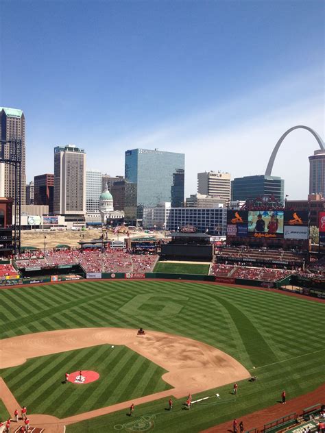 St. Louis Cardinals | St louis cardinals baseball, St louis cardinals, Stl cardinals