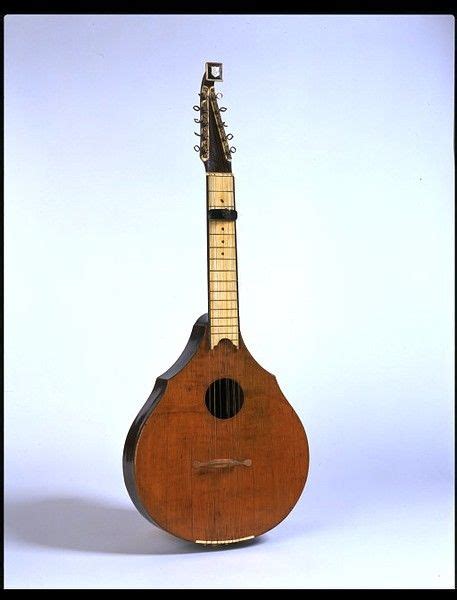 English Guitar Gibson William Vanda Explore The Collections Guitar