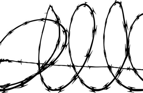 Heartlinebarbed Wire Png Clipart Royalty Free Svg Png