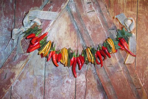 Items Similar To Chili Pepper Spice String Home Decor Garland On Etsy