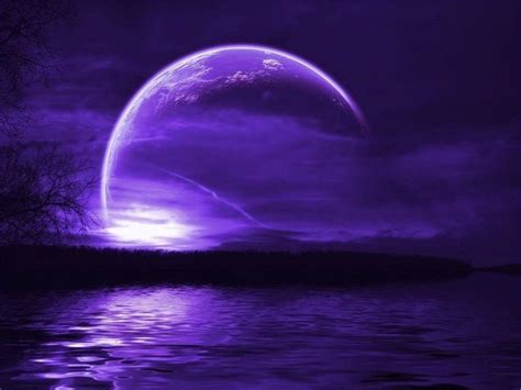 Free Purple Wallpapers Wallpaper Cave