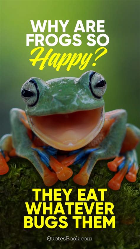 A frog in a well cannot conceive of the ocean. Why are frogs so happy? They eat whatever bugs them - QuotesBook