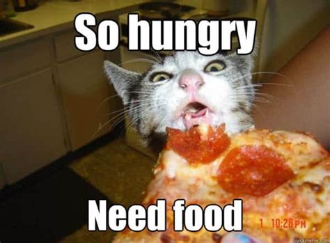 Hungry Memes You Ll Find Too Familiar Sayingimages Com