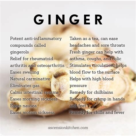 It Has Long Been Documented That Ginger Is Renowned For Its Health