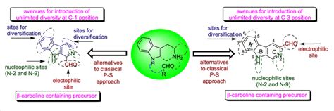 1 3 Formyl 9H β carboline new synthons for the synthesis of