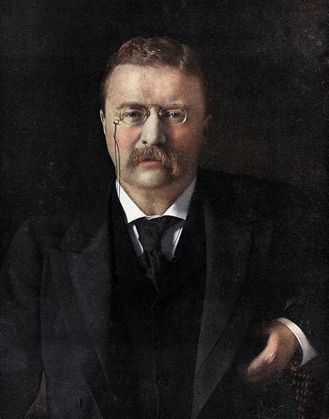 Theodore Roosevelt Painting By American School Pixels