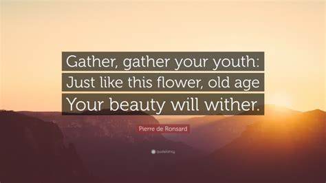 Pierre De Ronsard Quote “gather Gather Your Youth Just Like This