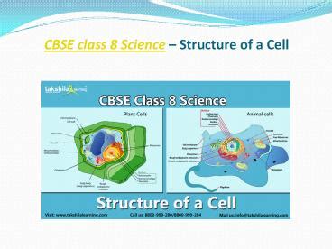 PPT CBSE Class Science Structure Of A Cell PowerPoint