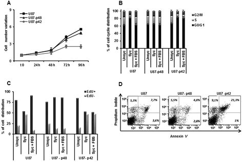 Ebp1 Protein Modulates The Expression Of Human Mhc Class Ii Molecules