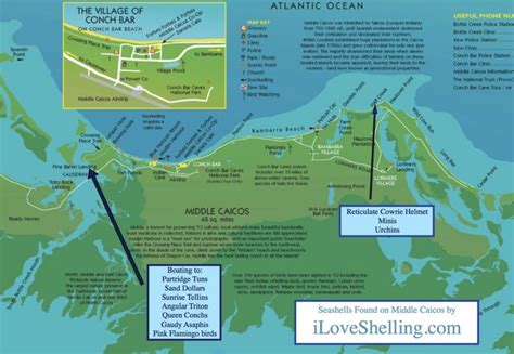 Middle Caicos Seashell Map Turks And Caicos Grace Bay Beach Adventure
