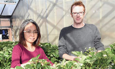 Oregon department of agriculture plant health program. OSU professor shares benefits of controlled-environment ...