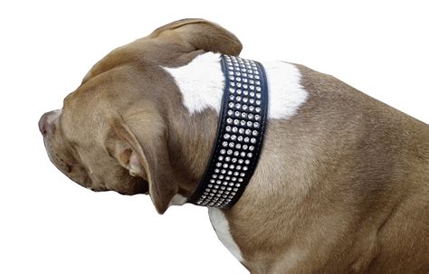 Dog Collar Black Rhinestone Leather Xs L Staffy Bling Big Girl Pretty