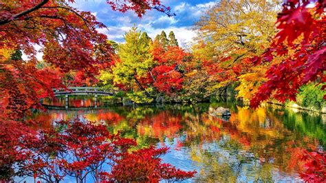 Colorful Autumn Leafed Trees Reflection On Calm Lake Park Bridge Above