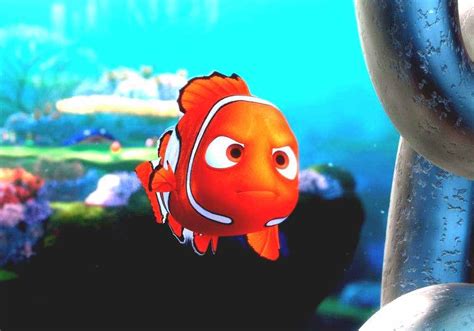 Finding Nemo Nemo Fish