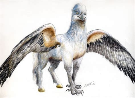 Hippogriff The Half Eagle And Half Horse Bird Hippogriff Harry Potter