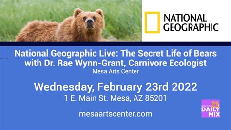 The Secret Life Of Bears With Dr Rae Wynn Grant Aztv 7