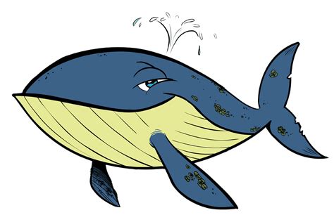 Free Pictures Of Cartoon Whales Download Free Pictures Of Cartoon