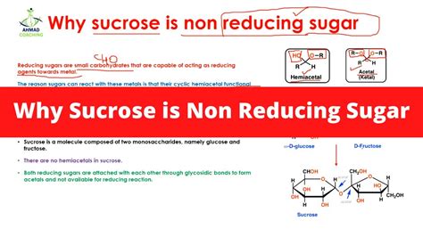 Why Sucrose Is Non Reducing Sugar Carbohydrates Reducing Sugar