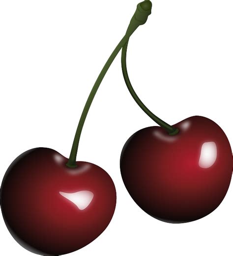 Black Cherry Clip art - cherry png download - 581*640 - Free Transparent Cherry png Download ...