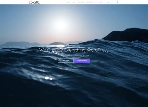 35 Awesome And Free Responsive Wordpress Themes 2020 Colorlib