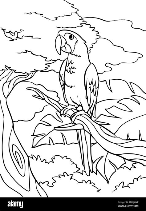 Parrot Coloring Page For Kids Stock Vector Image And Art Alamy