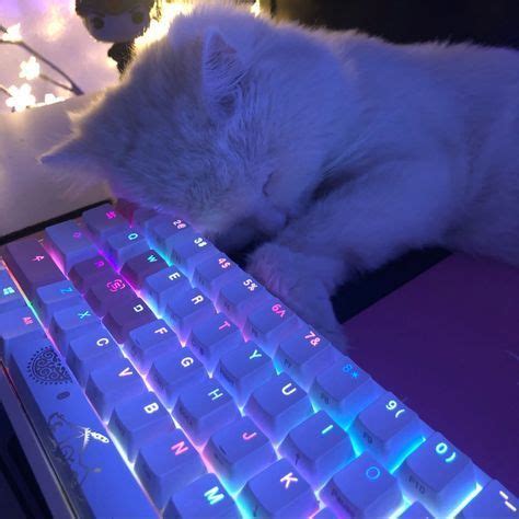 Cyber Aesthetic Cat Aesthetic Kittens Cutest Cool Pfps For Discord