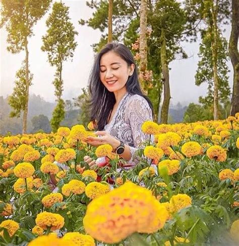 Taman Edelweis Karangasem Bali, Lokasi Dan Harga Tiket Masuk – FankyMedia
