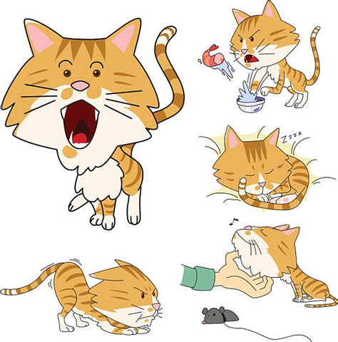 Best Orange Tabby Cat Illustrations Royalty Free Vector Graphics