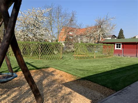 Was tun wenn die fliegen schon im haus sind? Aufwertung der Kindertagesstätte „Haus Kunterbunt": Viele ...