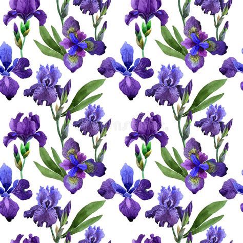 Wildflower Iris Flower Pattern In A Watercolor Style Isolated Stock