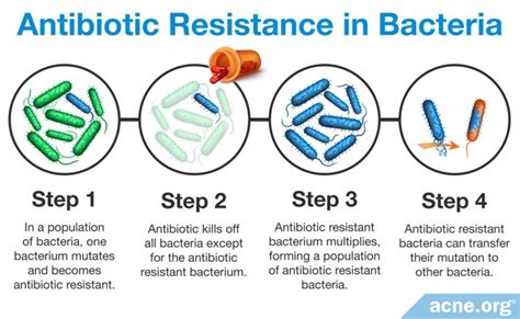 The Dangers and Ineffectiveness of Antibiotics for Acne ...