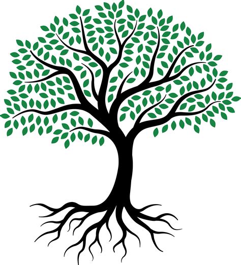 Drawing Root Tree Sketch Tree Of Life Png Download 23872633 Free