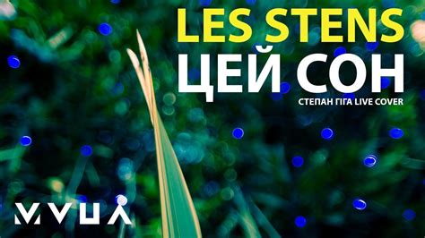 Les Stens Цей Сон Степан Гіга Live Cover Youtube