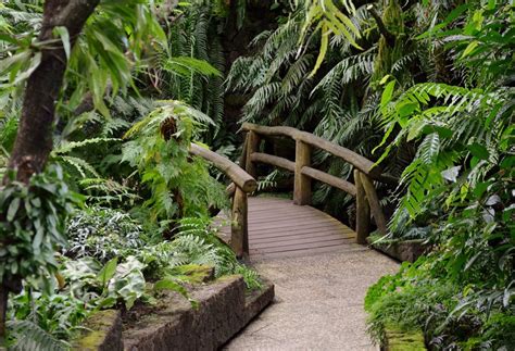 Loterías hoy | consulte los resultados del sorteo de la lotería de bogotá y de quindío del jueves 15 de julio. 11 de septiembre: Día de la Biodiversidad en Colombia ...