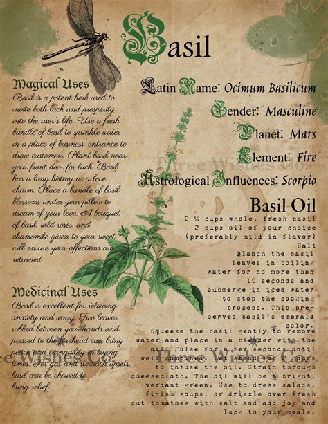 Spell Herbal Herbs Herbarium Printable Pages Wicca Bos Sheets