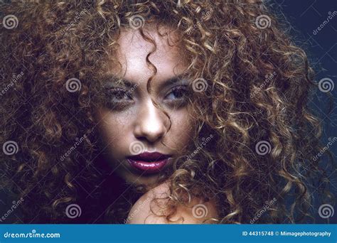 Sensual Black Female Fashion Model Stock Photo Image Of Attractive