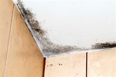 Maybe you would like to learn more about one of these? How Do I Remove Black Mold on the Ceiling? | ThriftyFun