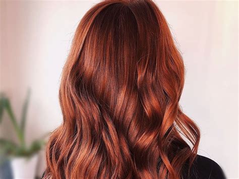 Aggregate 82 Ginger Brown Hair Color Ineteachers