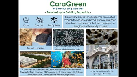 Biomimicry In Building Materials With CaraGreen YouTube