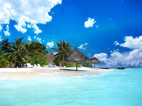 Wählen sie sand aus meiner sammlung, oder senden sie mir ihren sand. Beach in the Bahamas Wallpaper and Achtergrond | 1805x1354 ...