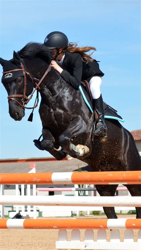 Ashford farm is a very friendly place. Equestrian Wallpaper ·① WallpaperTag