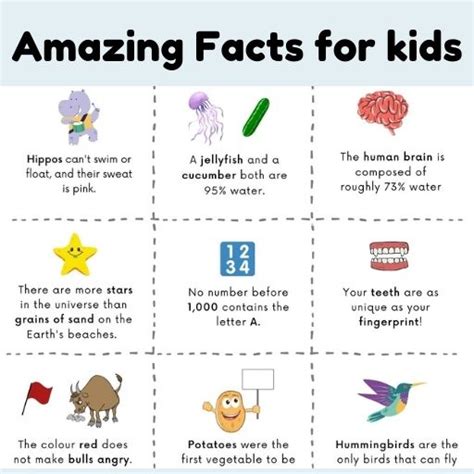 Pin By Kinder Kafe On Fun Facts For Kids Fun Facts For Kids Facts For