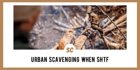 Urban Scavenging When Shtf Places To Scavenge Realities Tips