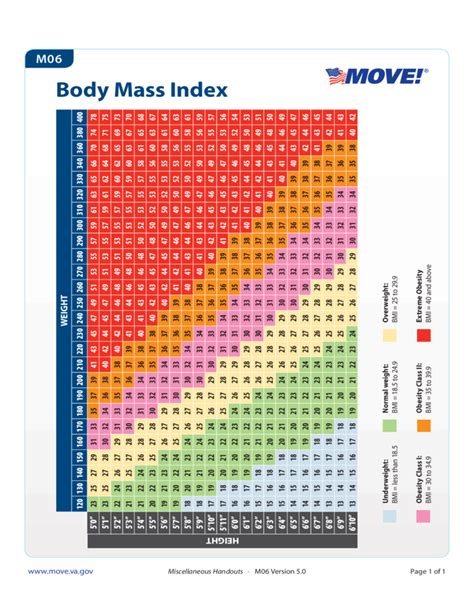 Standard Body Mass Index Chart Free Download