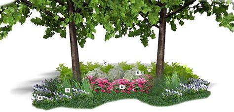 Shop our exclusive selection of annual flowers that grow their best in shade. Annual Shade Garden Plan | Costa Farms | Flower garden ...