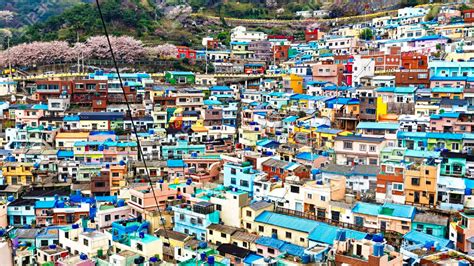 Gamcheon Culture Village Le Quartier Coloré De Busan