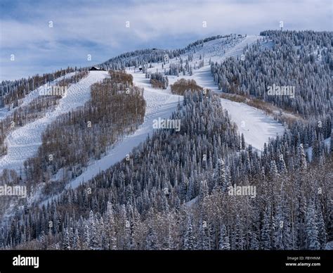 Looking up toward Four Points from Thunderhead Lodge, Steamboat Ski